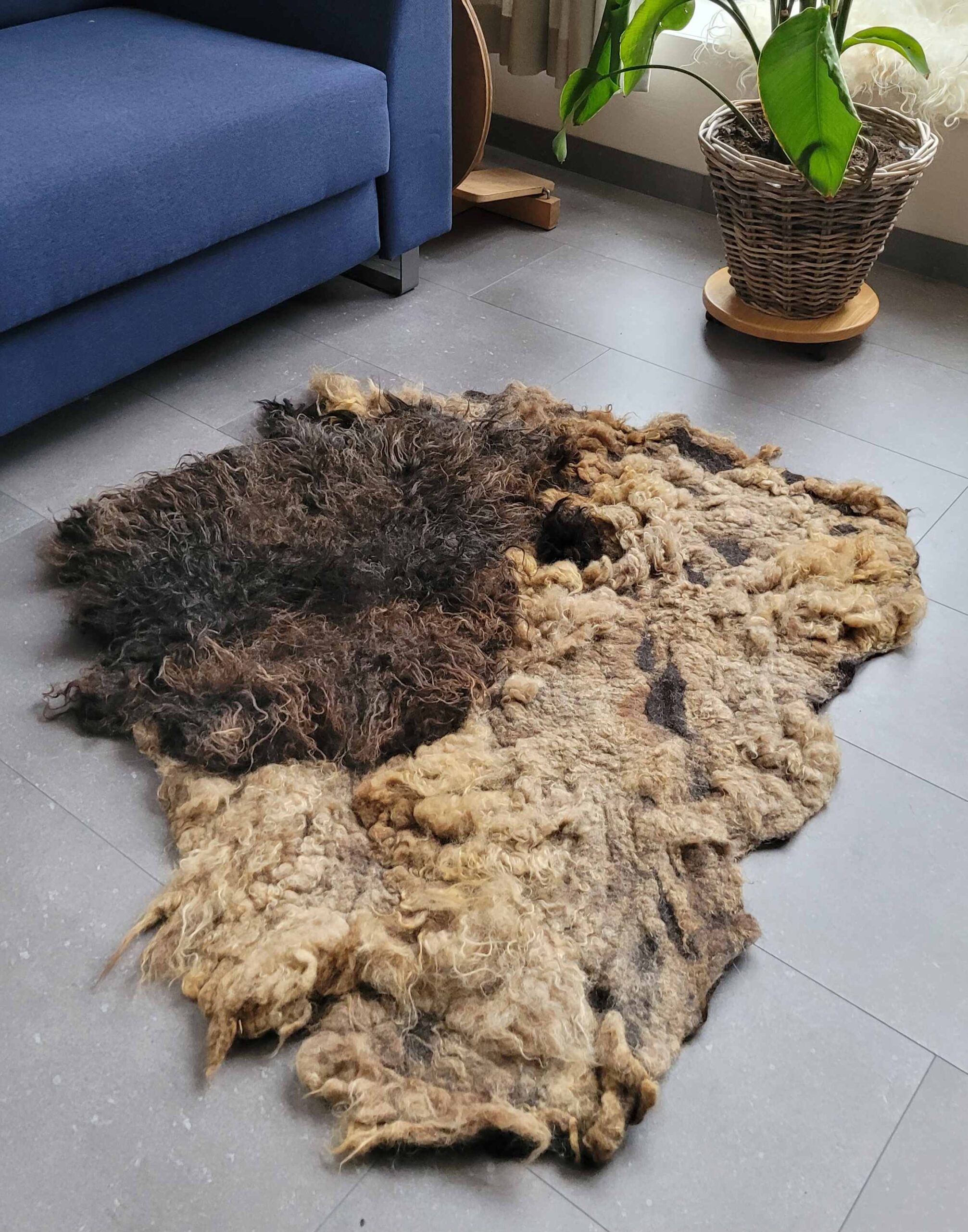 Wool rug Deep Dive