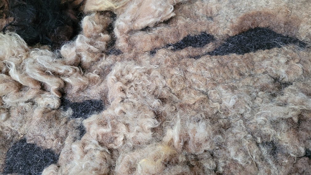 Wool rug Deep Dive - Image 2