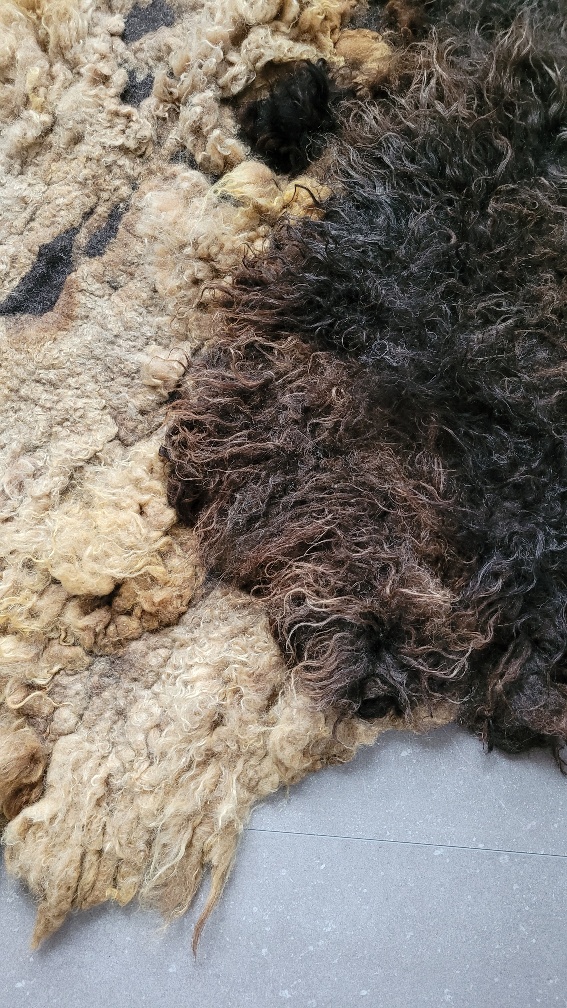 Wool rug Deep Dive - Image 7