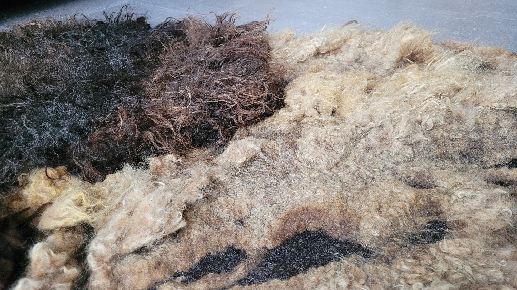 Wool rug Deep Dive - Image 8