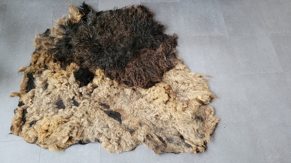 Wool rug Deep Dive - Image 3