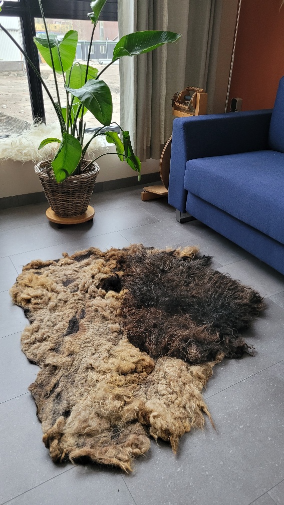 Wool rug Deep Dive - Image 4