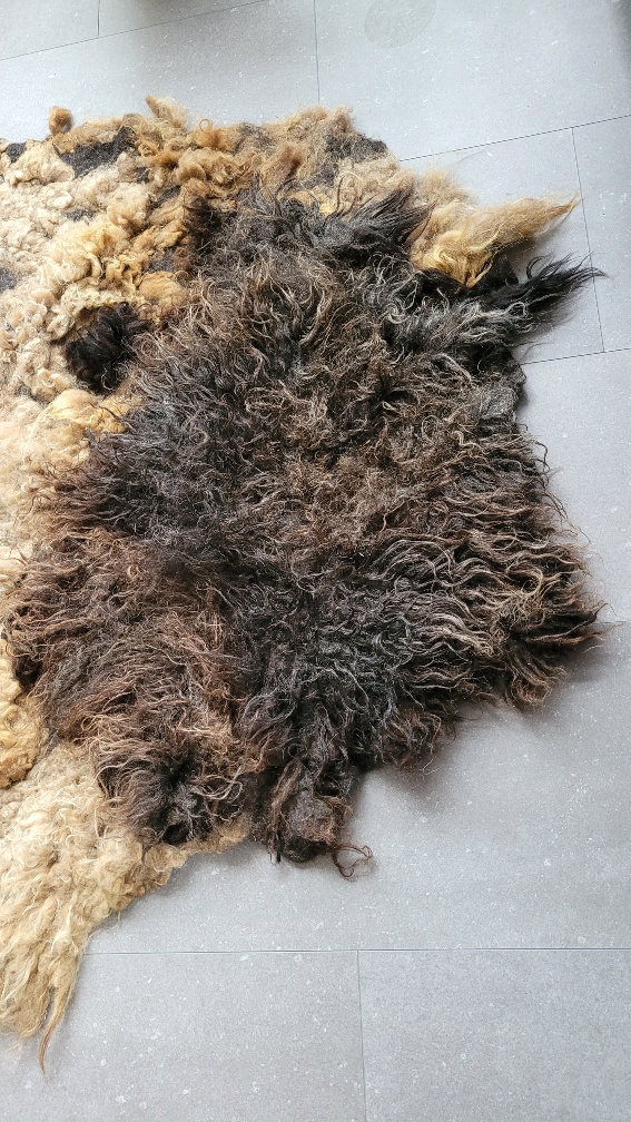 Wool rug Deep Dive - Image 5