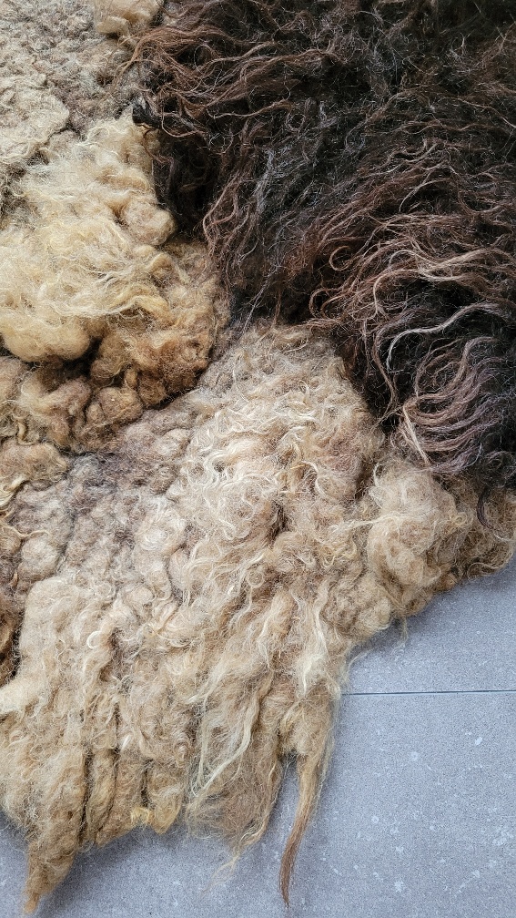 Wool rug Deep Dive - Image 6